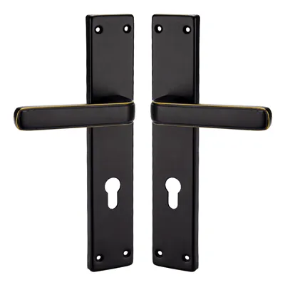 How to choose a smart door lock: push-pull or handle?